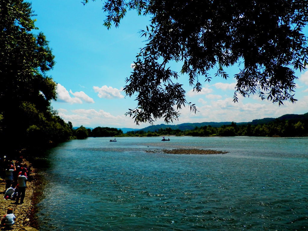 Reka Drina
